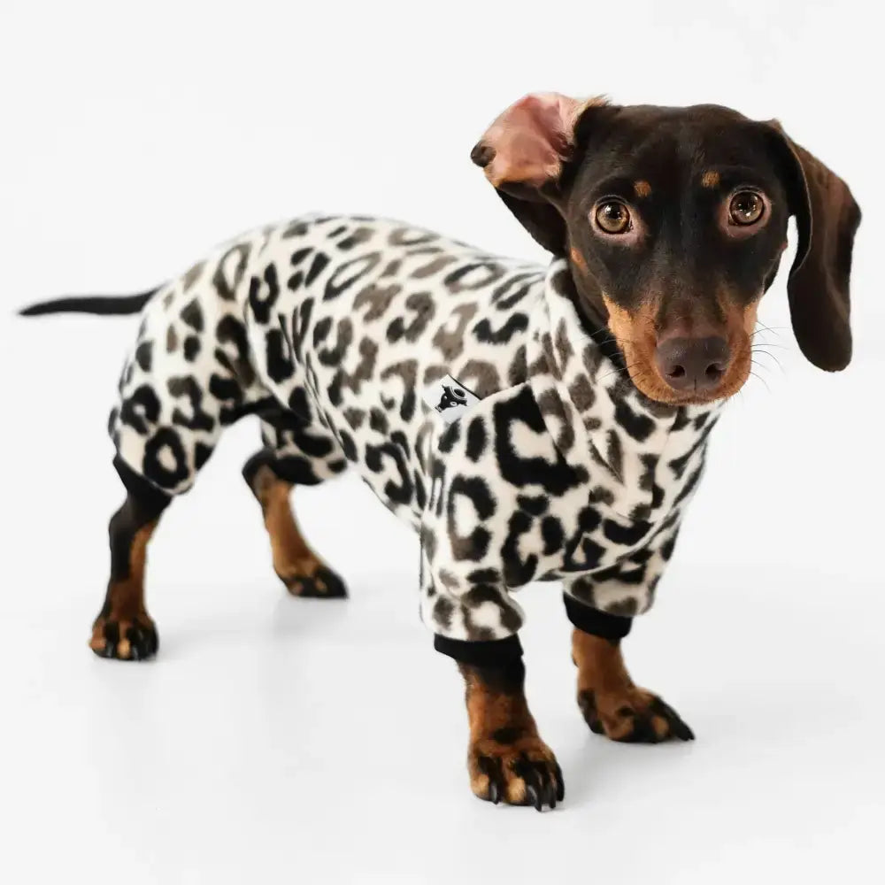 Fleece Overall für Dackel Leo - Hundepullover