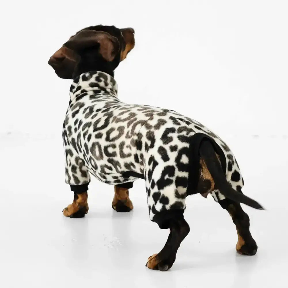 Fleece Overall für Dackel Leo - Hundepullover