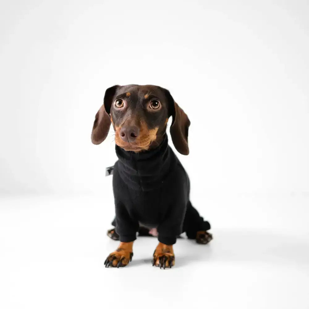 Fleece Overall für Dackel Schwarz - Hundepullover
