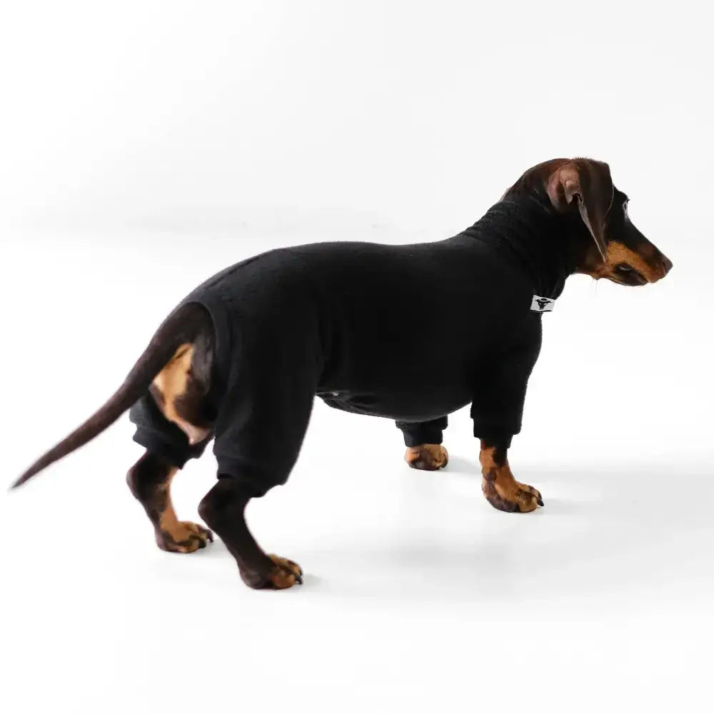 Fleece Overall für Dackel Schwarz - Hundepullover