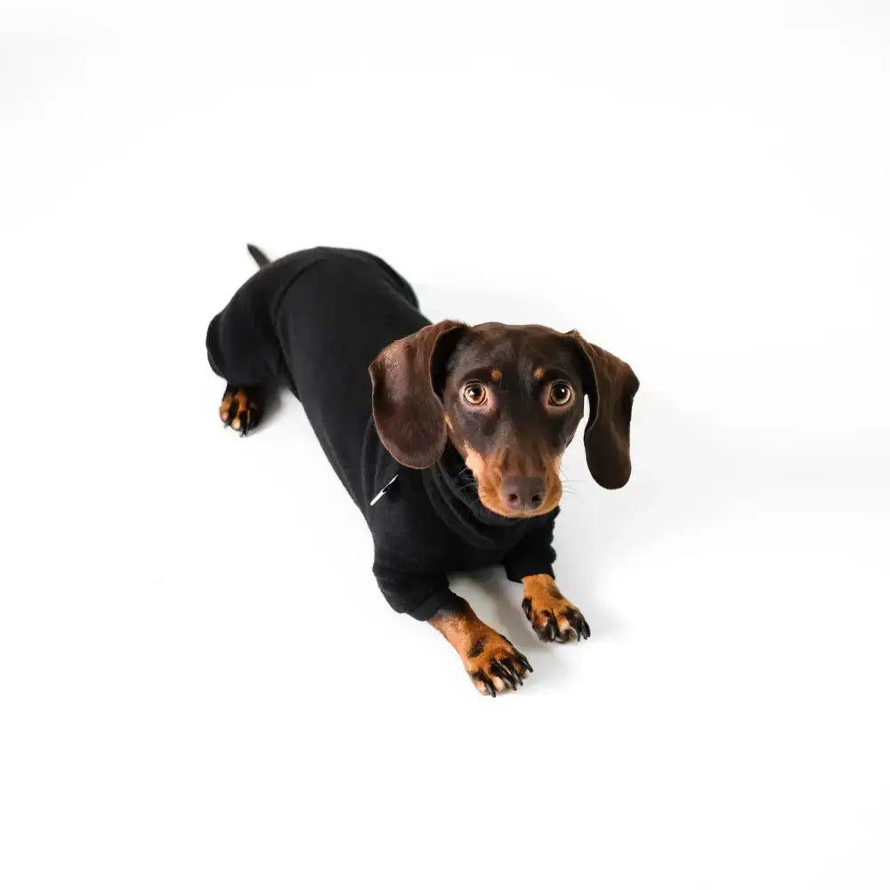 Fleece Overall für Dackel Schwarz - Hundepullover