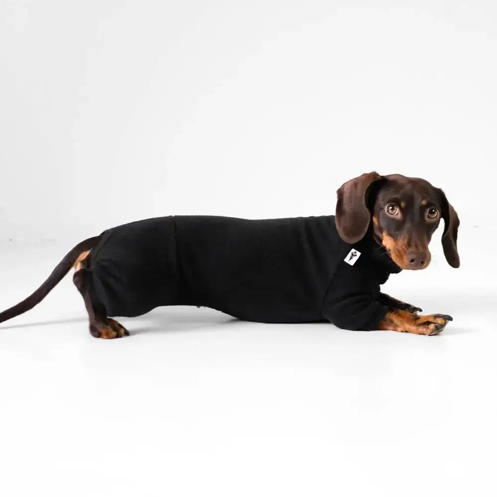 Fleece Overall für Dackel Schwarz - Hundepullover