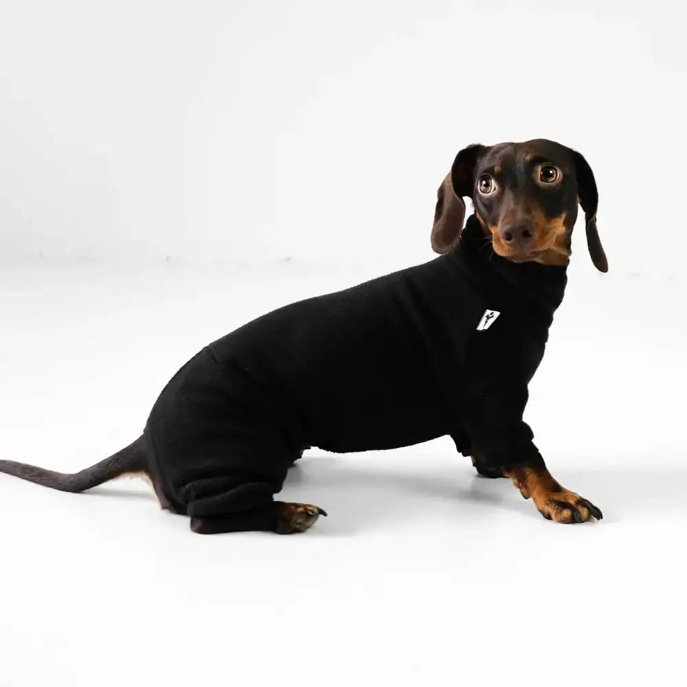 Fleece Overall für Dackel Schwarz - Hundepullover