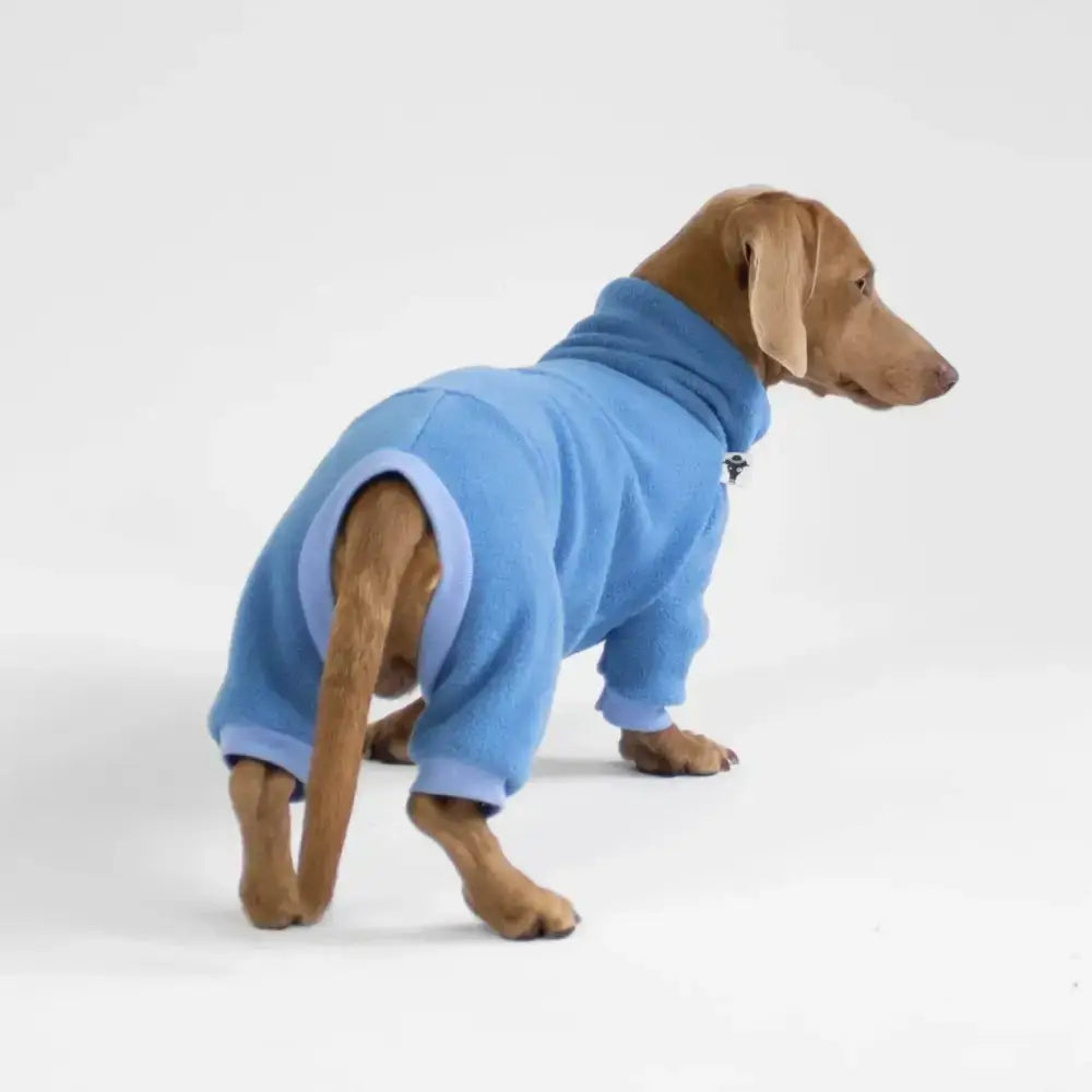 Fleece Overall für Dackel Sky Blue - Hundepullover