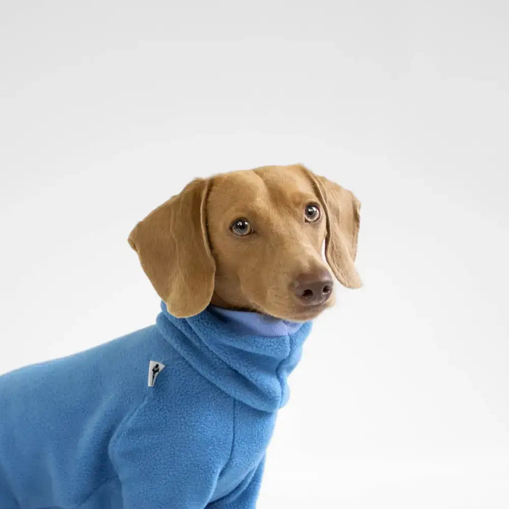 Fleece Overall für Dackel Sky Blue - Hundepullover