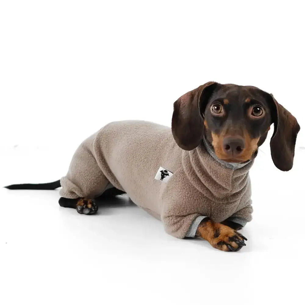 Fleece Overall für Dackel Walnut - Hundepullover