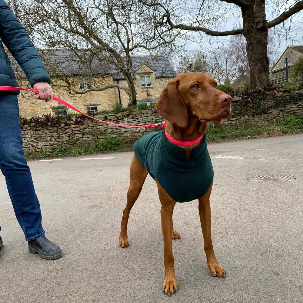 Fleecepullover für grosse Hunde // Grau // Charcoal - Hundepullover