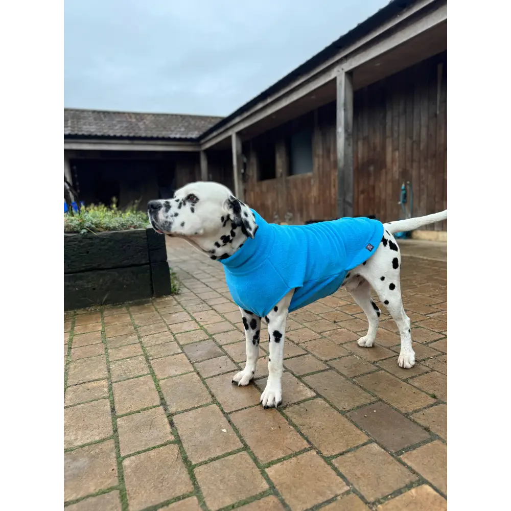 Fleecepullover für grosse Hunde // Grau // Charcoal - Hundepullover