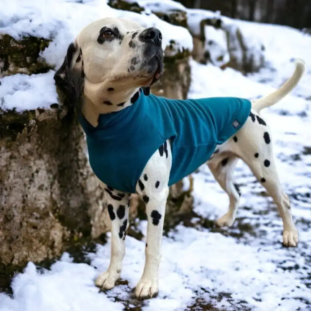 Fleecepullover für grosse Hunde // Grau // Charcoal - Hundepullover