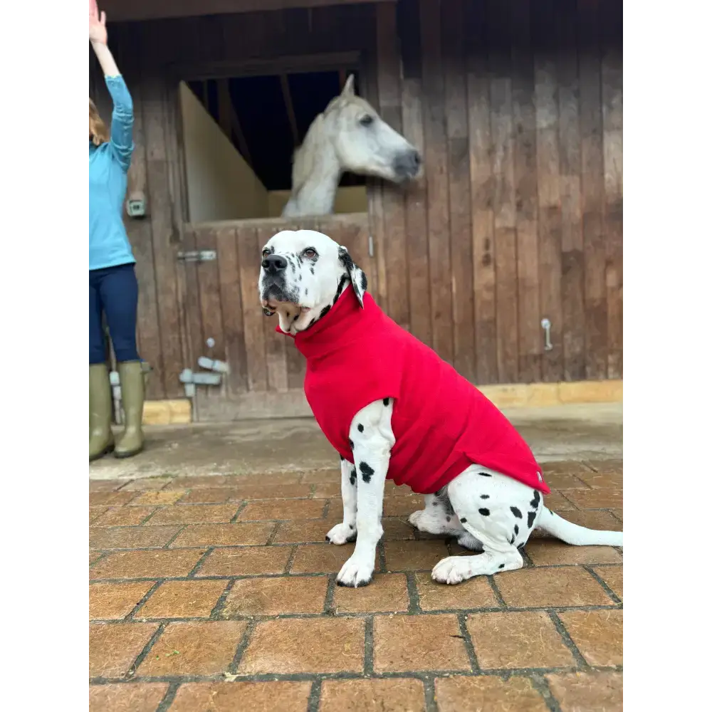 Fleecepullover für grosse Hunde // Grau // Charcoal - Hundepullover