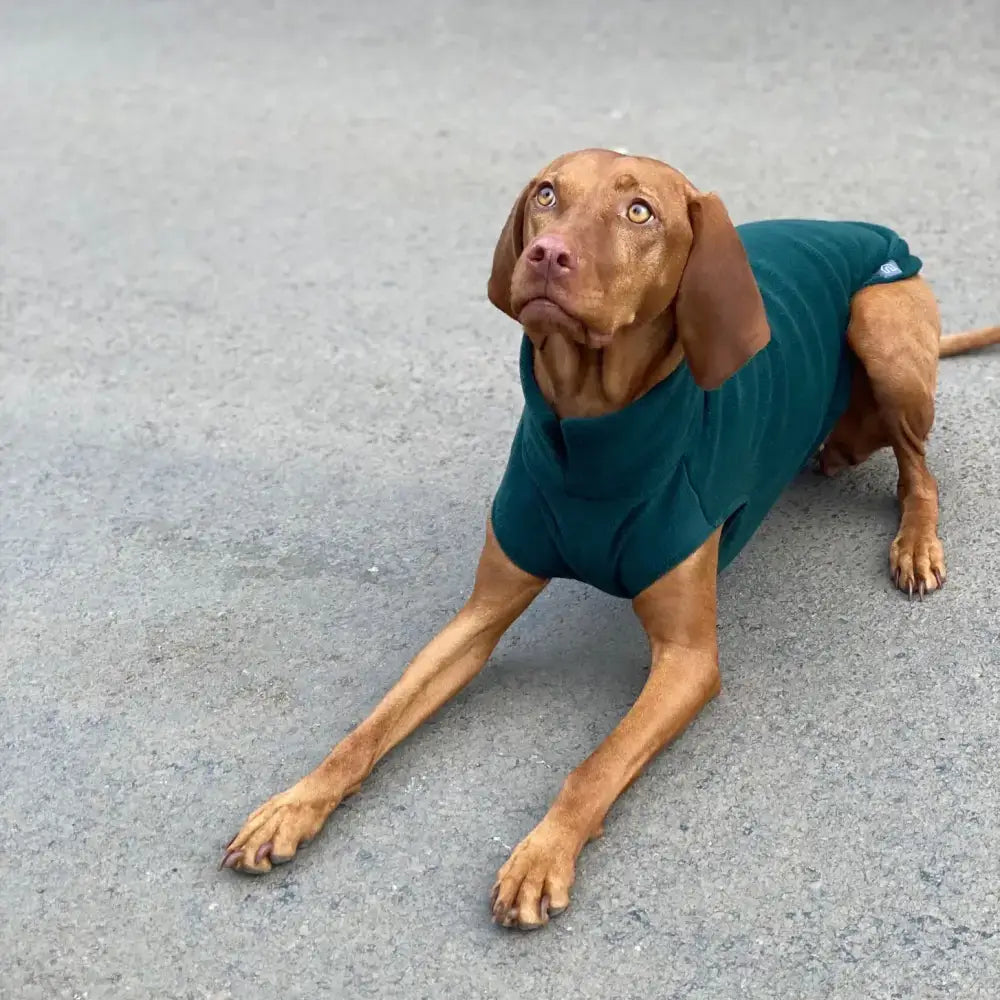Fleecepullover für grosse Hunde // Racing Green - Hundepullover