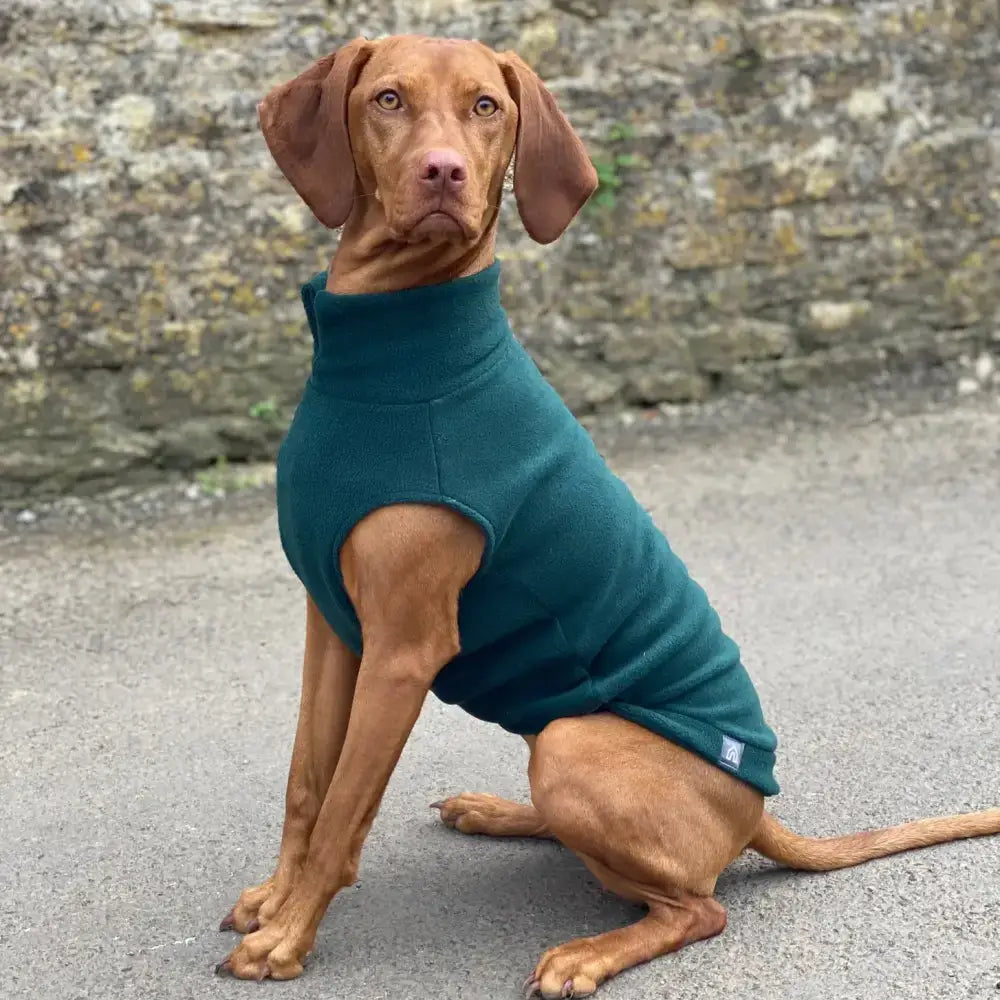 Fleecepullover für grosse Hunde // Racing Green - Hundepullover