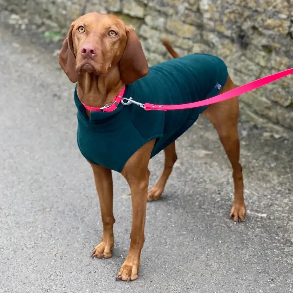 Fleecepullover für grosse Hunde // Racing Green - Hundepullover