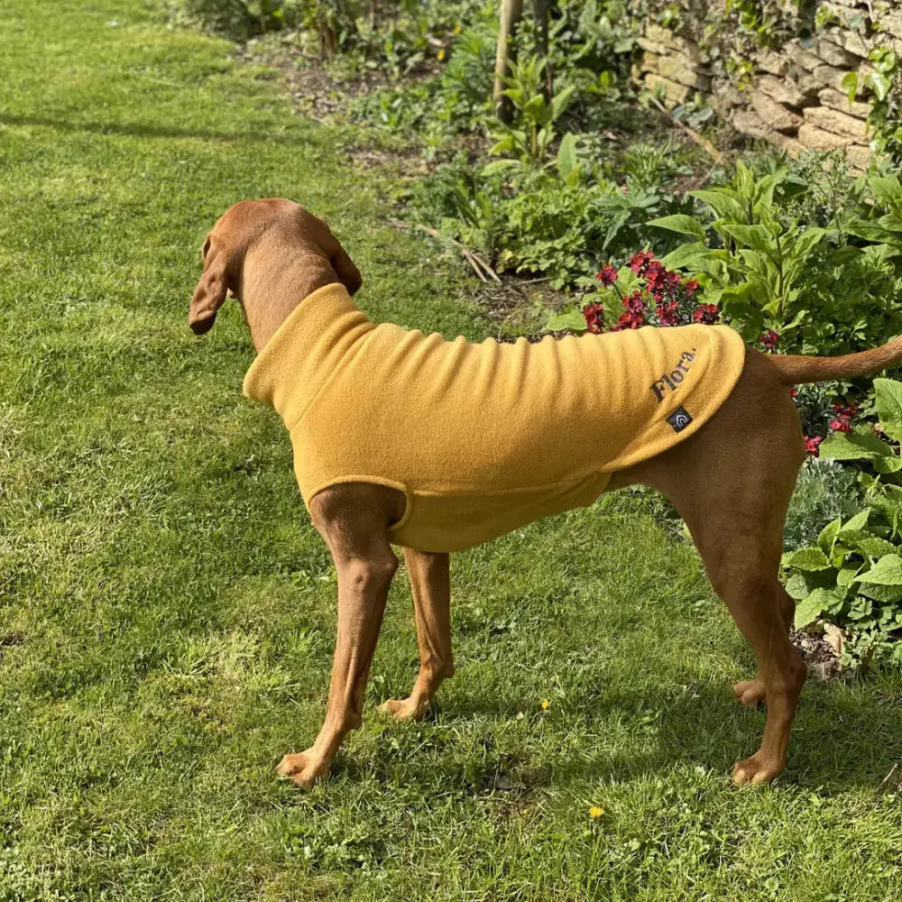Fleecepullover für grosse Hunde // Senf - Hundepullover