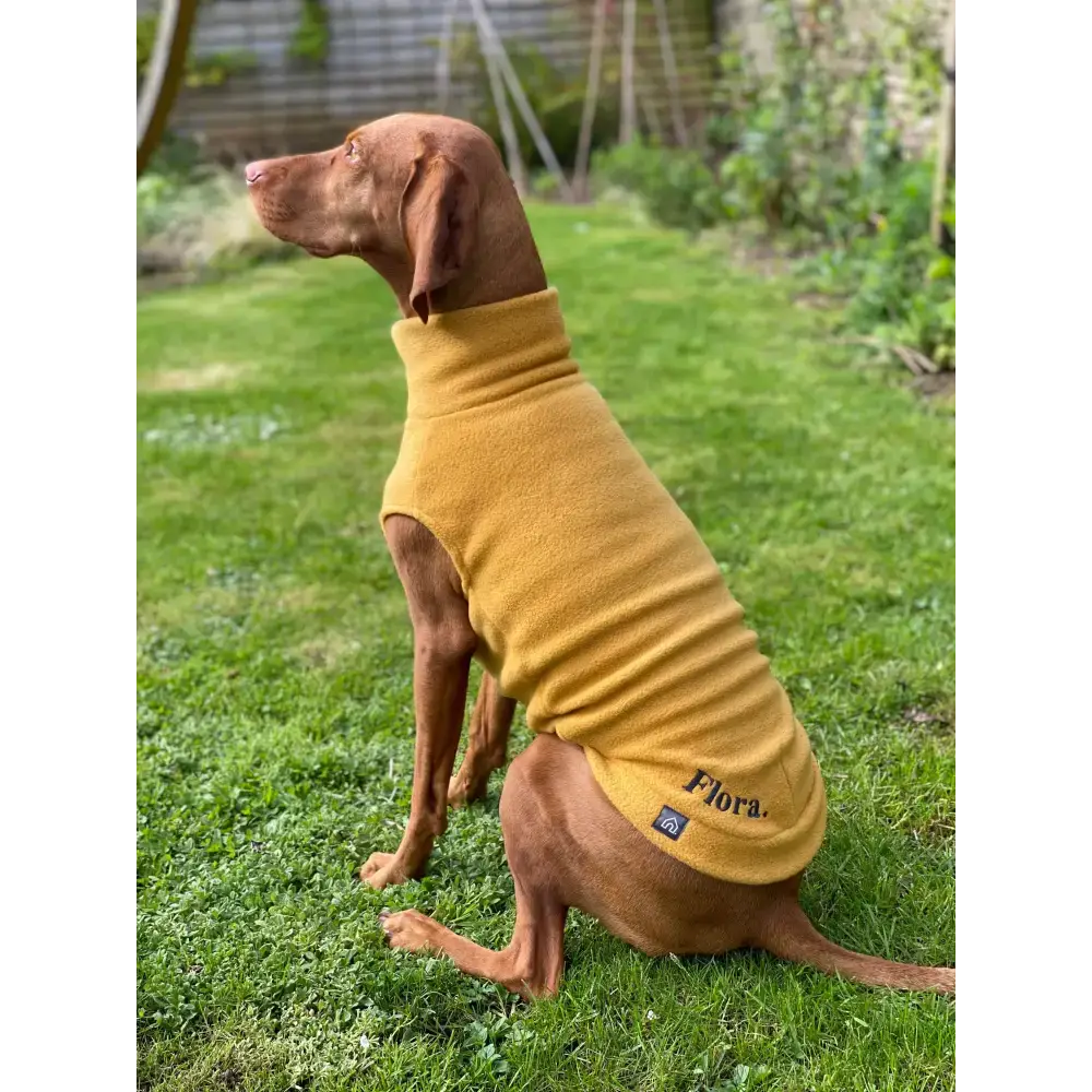 Fleecepullover für grosse Hunde // Senf - Hundepullover