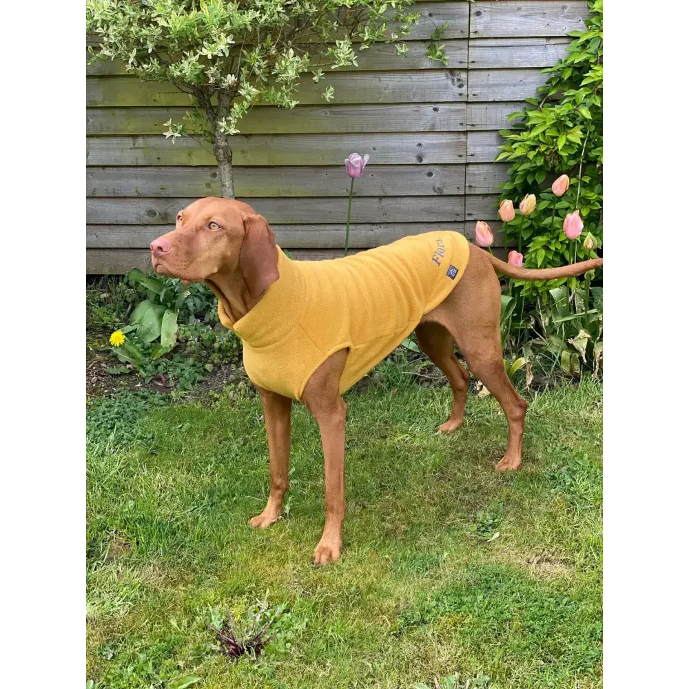 Fleecepullover für grosse Hunde // Senf - Hundepullover