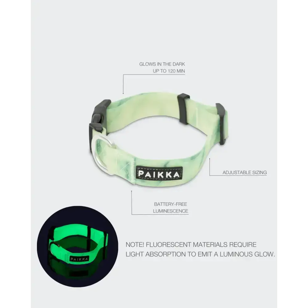 Fluoreszierendes PAIKKA Hundehalsband für bessere Sichtbarkeit in der dunklen Jahreszeit.