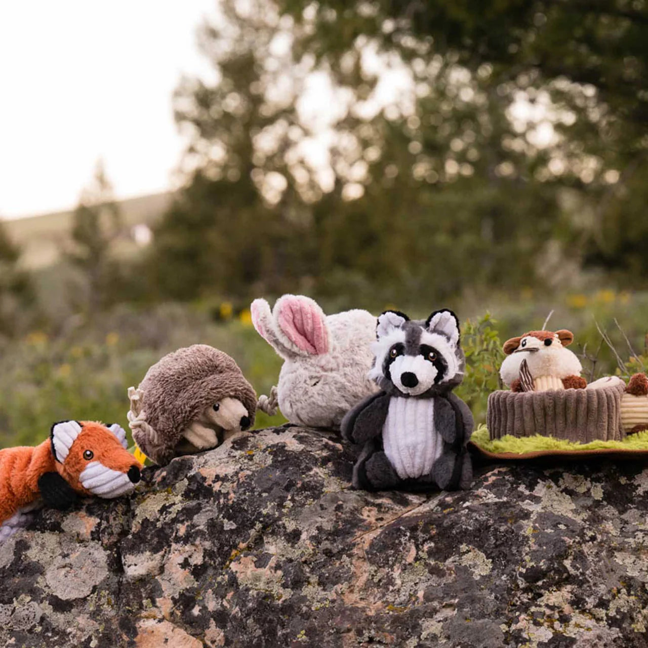 Forest Friends Collection