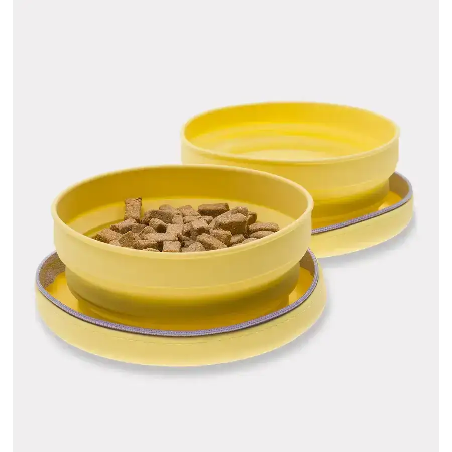 Nahaufnahme des Reisenapfs mit Futter und Wasser gefüllt. Die robuste, pflegeleichte Silikonbeschichtung sorgt für eine einfache Reinigung.
