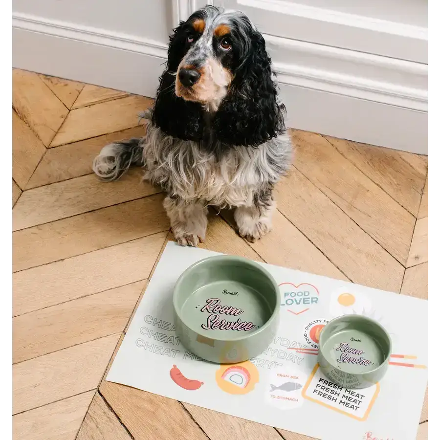 Nahaufnahme des edlen ROOM SERVICE Futternapfs – schickes Design, stabile Keramik und perfekt für Hunde & Katzen.