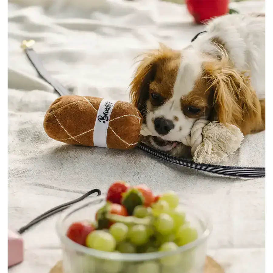 Hunde-Spielzeug „Wurst“ – ideal für aktive Hunde, die Spaß an Zerren und Werfen haben.