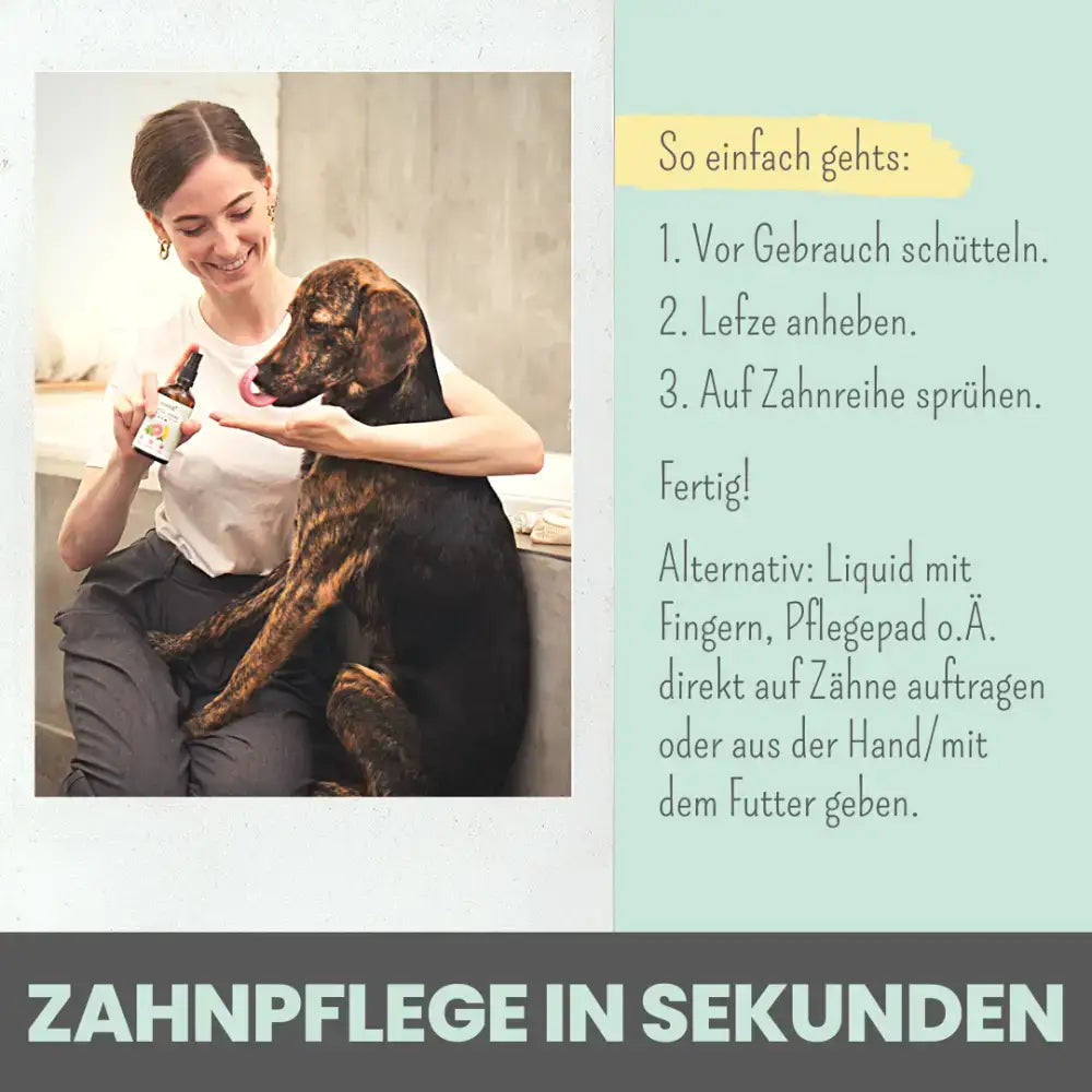 Probiotische Zahnpflege für Hunde & Katzen – Unterstützt das Mikrobiom im Maul und fördert gesunde Zähne.