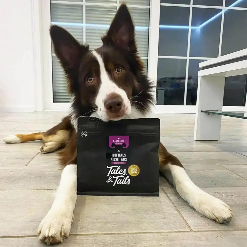 Verwöhne deinen Hund mit den köstlichen Entenhälse von Tales & Tails – der ideale Snack für jeden Tag!