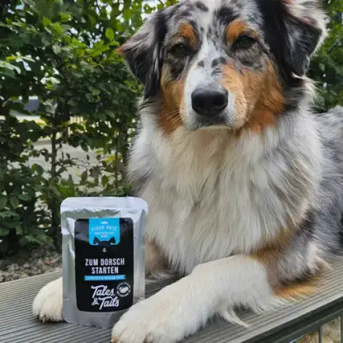 Gesunder Hundesnack – Schonend getrocknetes Dorschfilet als Premium-Proteinquelle