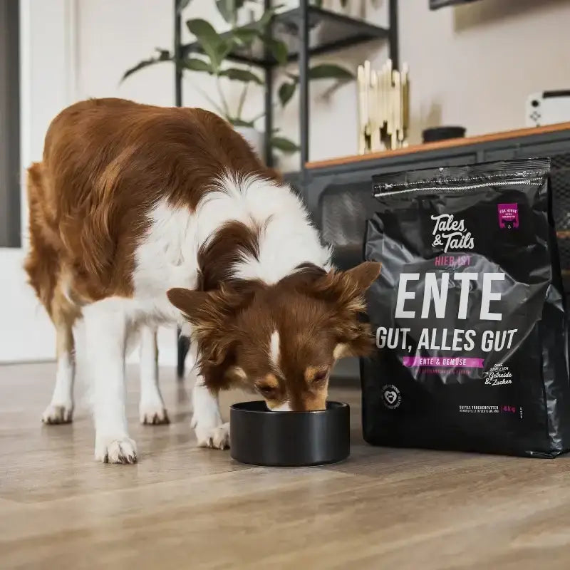 Tales & Tails Trockenfutter – Getreidefrei & besonders verträglich für empfindliche Hunde