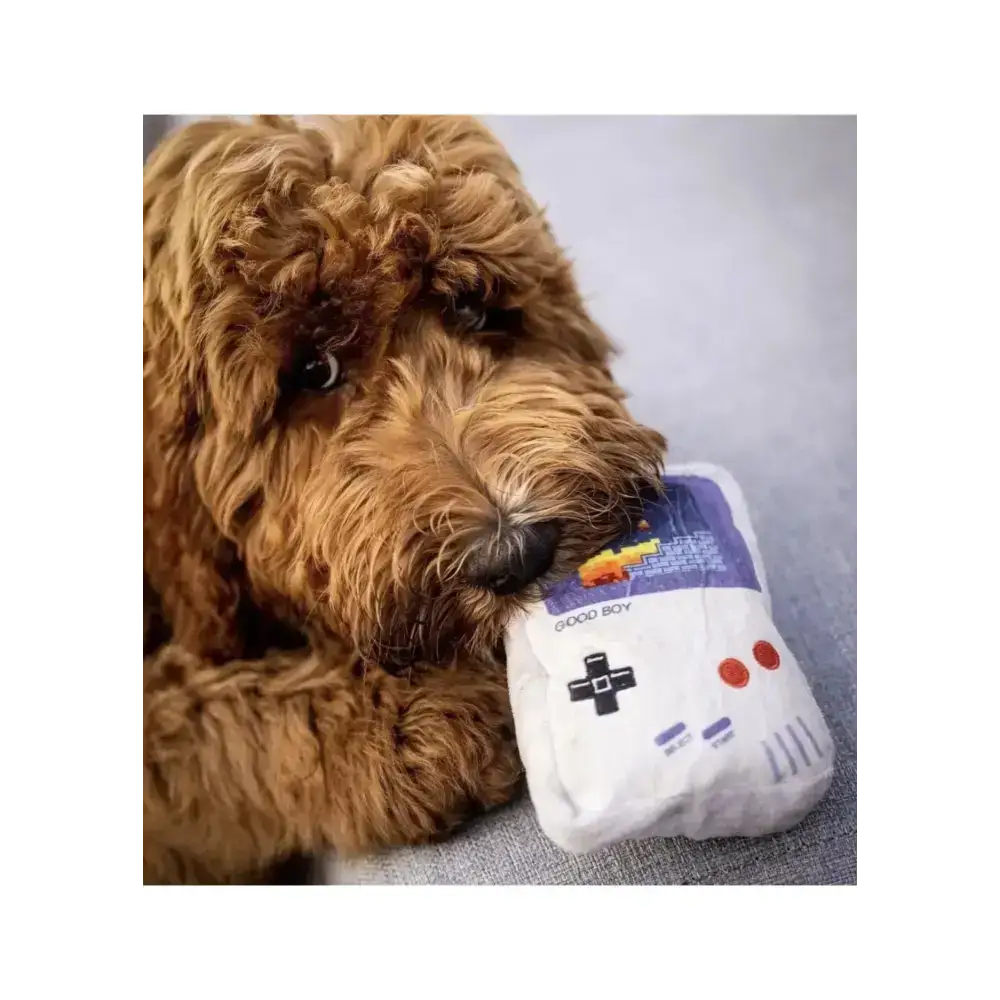 GoodBoy Hundespielzeug mit integriertem Quietscher - sorgt für zusätzlichen Spielspaß und Aufregung bei deinem Hund