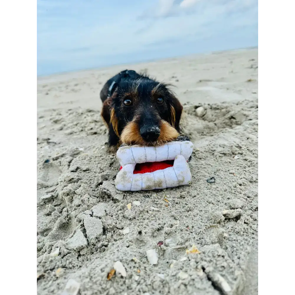 Hund genießt den interaktiven Spielspaß mit "Barkys Biss" – Halloween-Plüschtier mit Quietsche- und Knistereffekt.