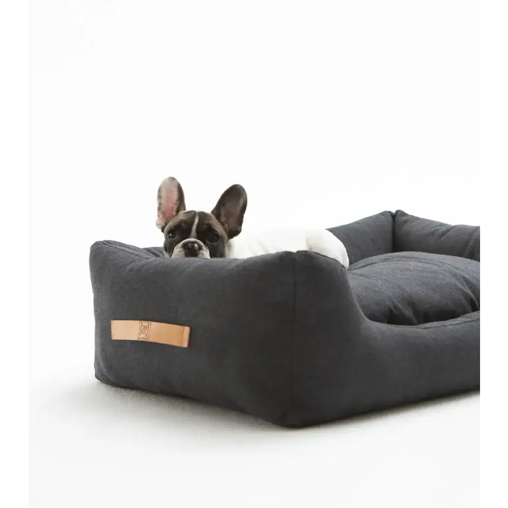 Hund liegt entspannt im Henri Hundebett Canvas von 2.8 Duepuntootto in der Farbe Anthracite