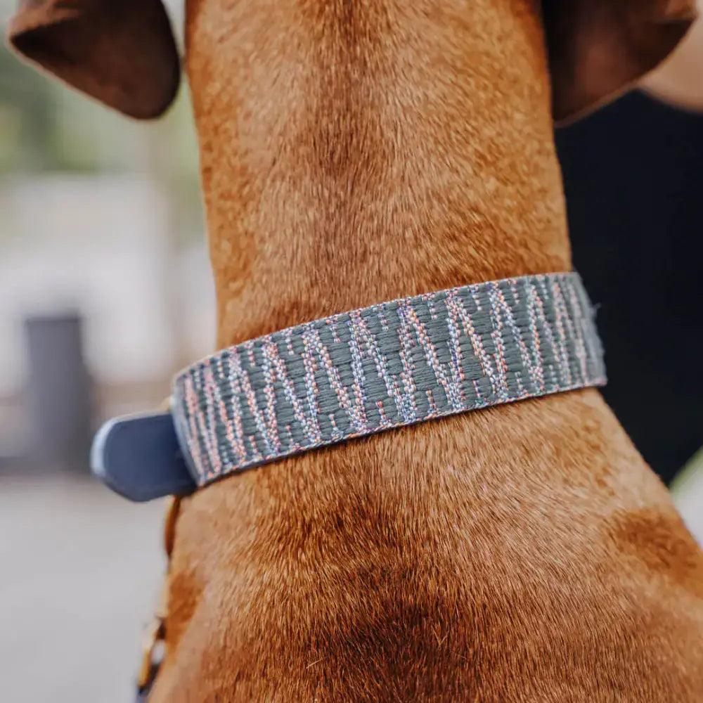 Très Chic Halsband nah am Hals eines Hundes – eleganter Look mit hohem Tragekomfort