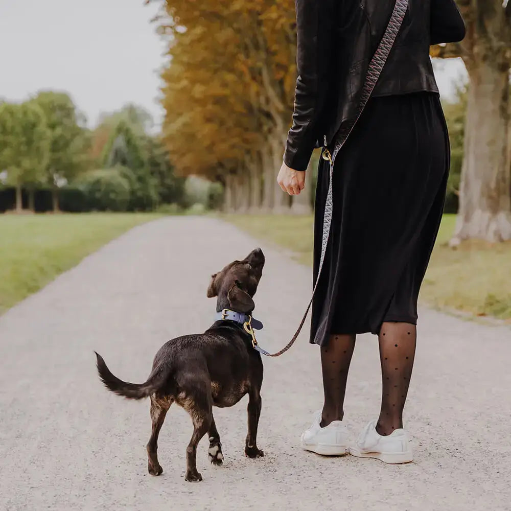 Komplettansicht von Halsband und Leine aus der Très Chic Kollektion in Blau-Grau – stilvoll & harmonisch abgestimmt