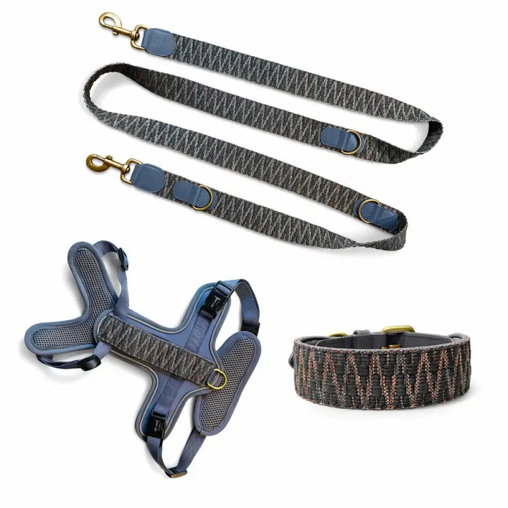 Komplettset der Très Chic Kollektion – passendes Hundegeschirr, Halsband & Leine in edlem Design