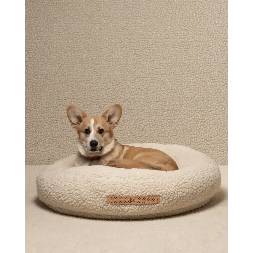 Hochwertiges Fulvio Hundebett in Cream – zeitloses Design, pflegeleicht & ideal für entspannte Hundeträume.