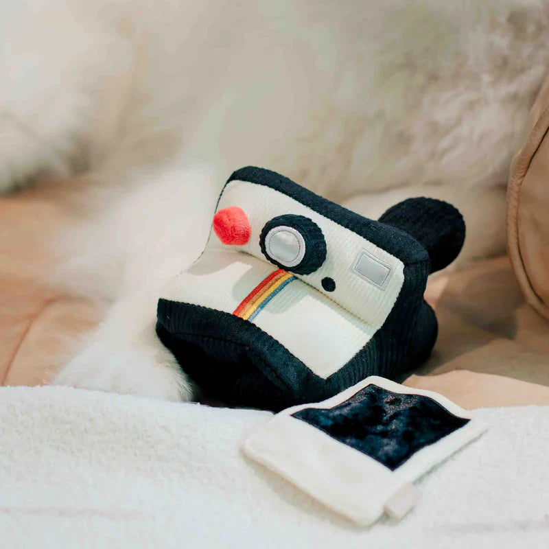INSTANT CAMERA | Beschäftigungsspielzeug - Hundespielzeug
