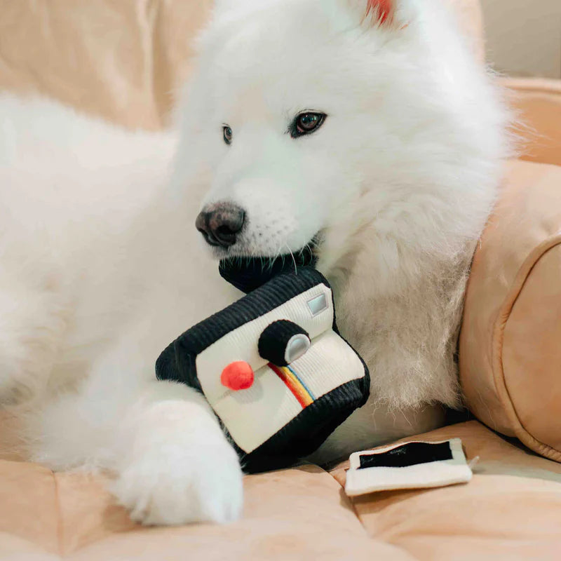 INSTANT CAMERA | Beschäftigungsspielzeug - Hundespielzeug
