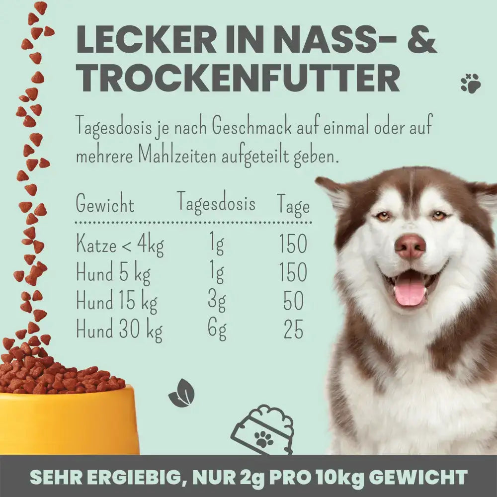 Darmgesundheit verbessern mit natürlichen Präbiotika – Ideal für sensible Hunde & Katzen.
