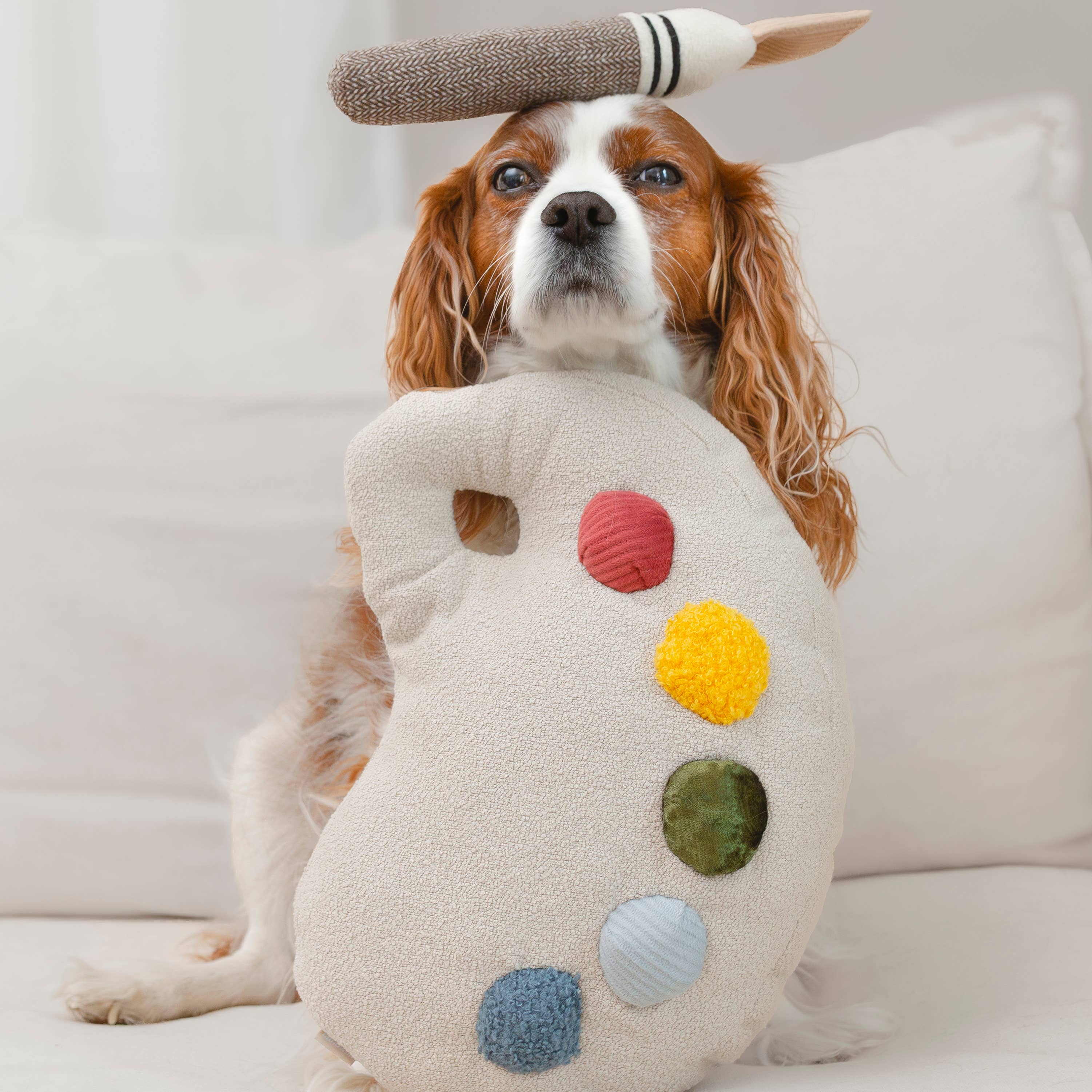 Hund präsentiert das stehende Farbpaletten-Spielzeug von Lambwolf Collective – verspielt & stilvoll
