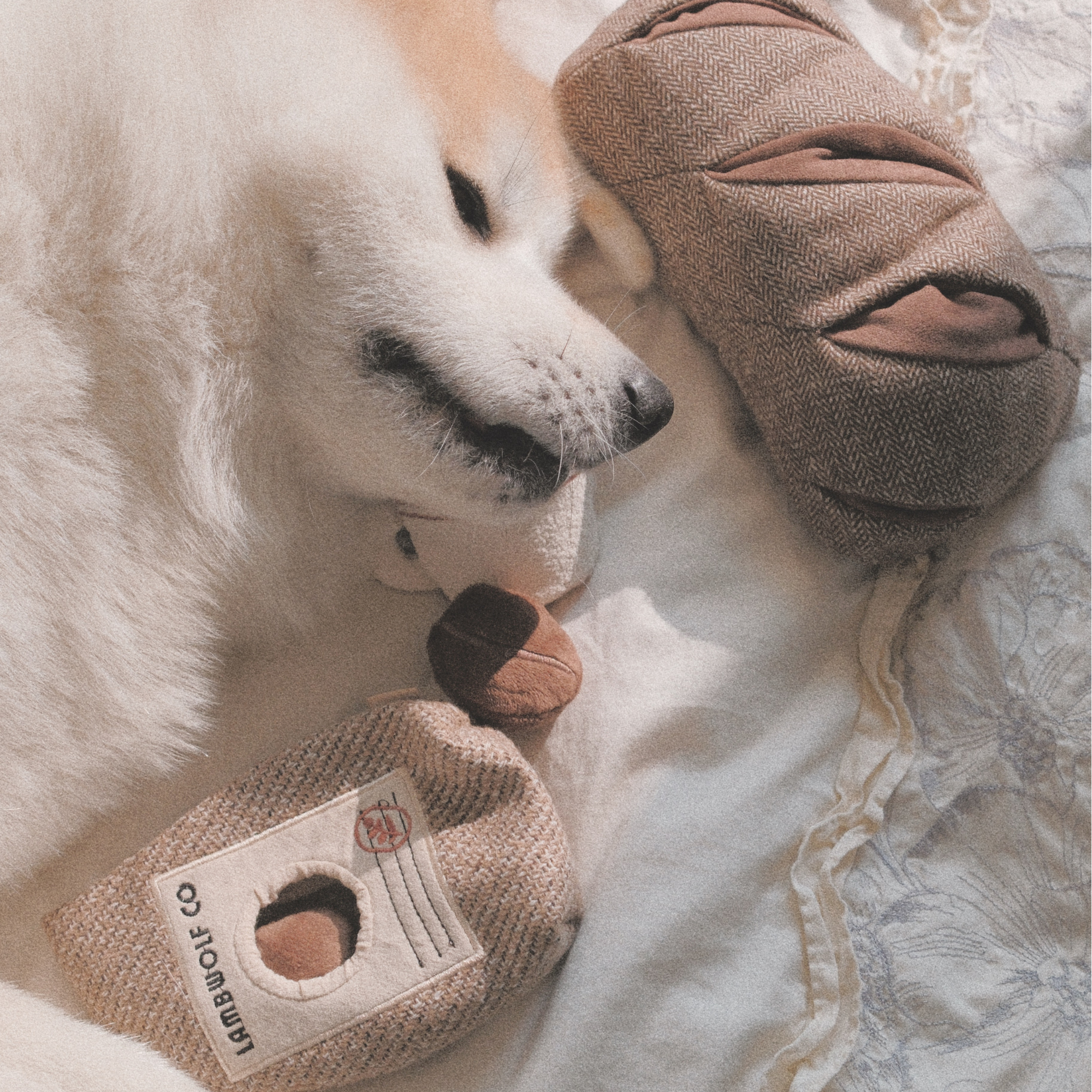 Hund kuschelt liebevoll mit dem COFFEE BEANS Hundespielzeug