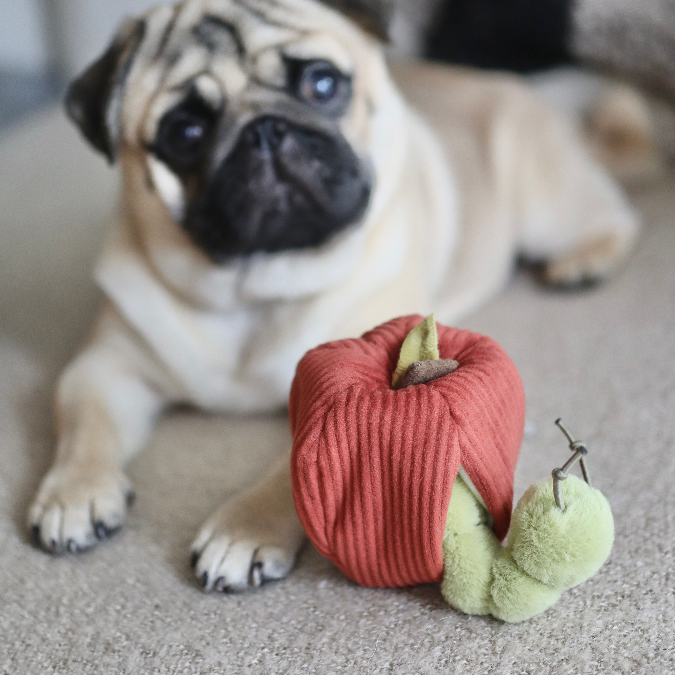 Hund kuschelt mit dem Apple & Caterpillar Hundespielzeug von Lambwolf Collective