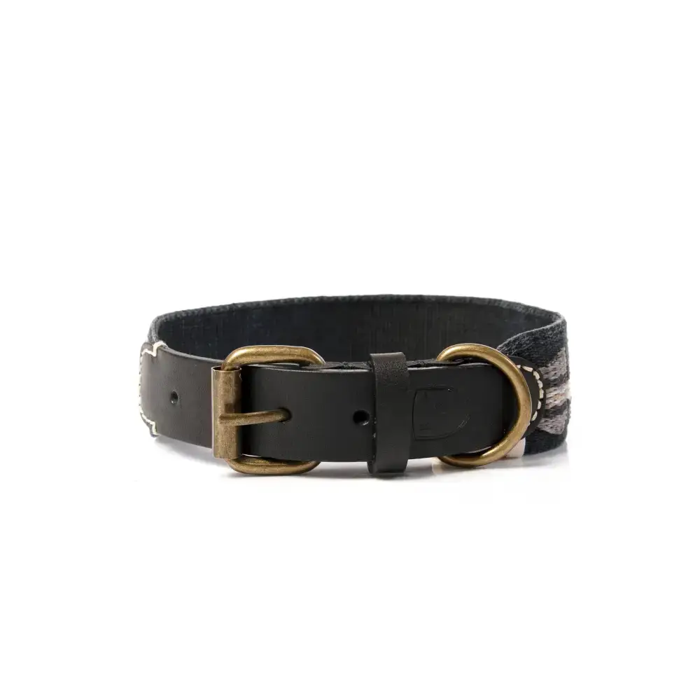 Hund mit ETNA BLACK Hundeleine und passendem Halsband – stilvolles Set für elegante Spaziergänge.
