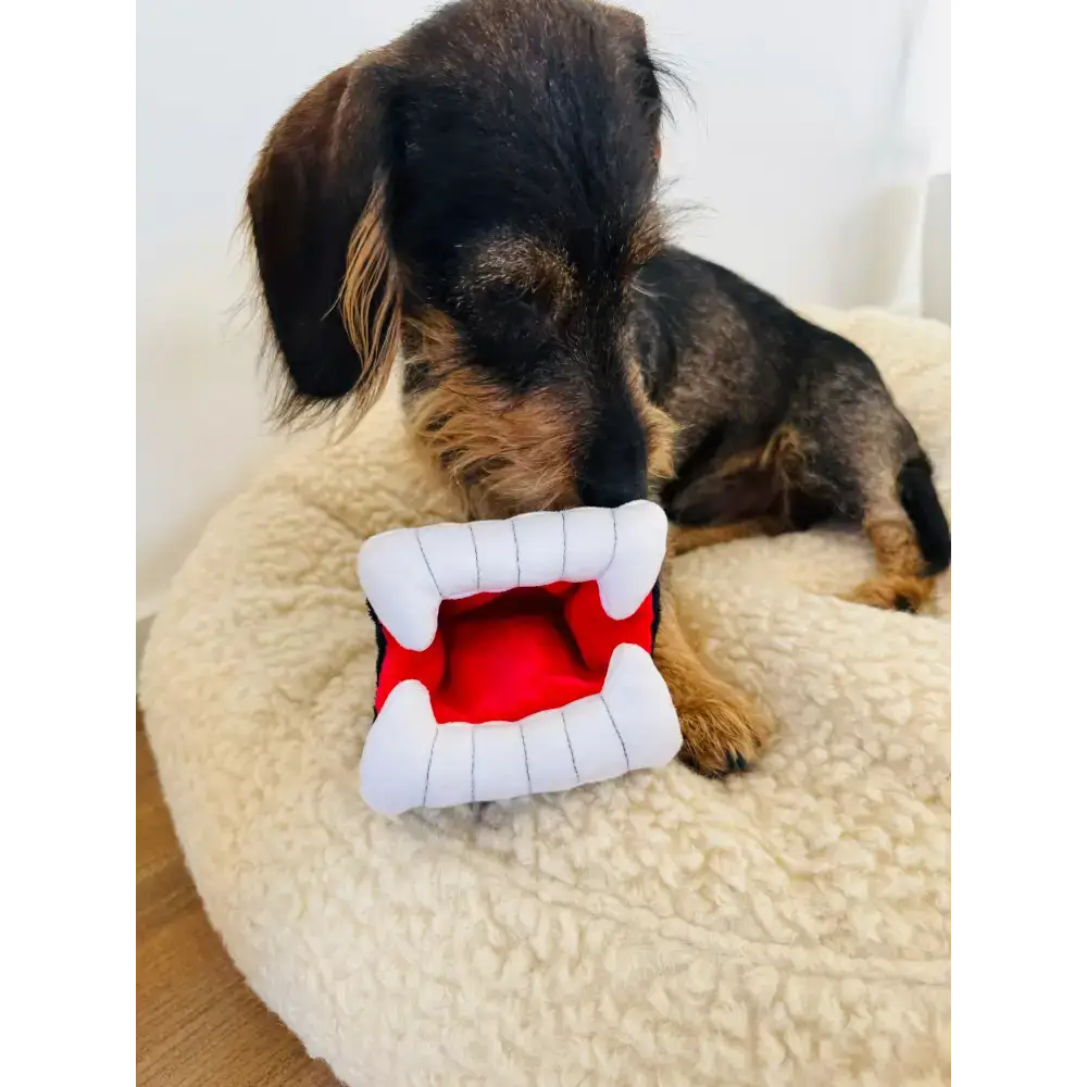 Hund spielt mit dem "Barkys Biss" Halloween Hundespielzeug – langlebiges und interaktives Plüschtier mit Quietschfunktion.