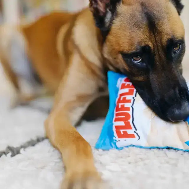 Hund spielt mit den P.L.A.Y Fluffles Chips – weiches, interaktives Hundespielzeug mit versteckten Spielelementen.