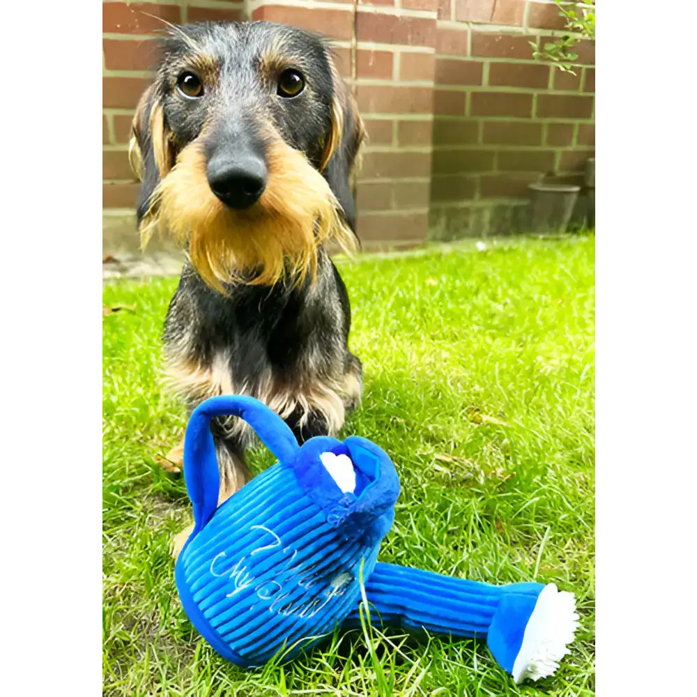 Hund spielt mit der P.L.A.Y Gießkanne – langlebiges, interaktives Hundespielzeug für Gartenfreunde und Abenteurer.