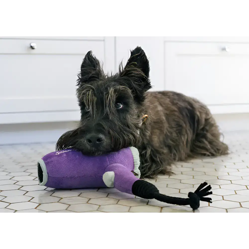 Hund spielt mit dem Howlin' Haarfön Spielzeug von P.L.A.Y – interaktiver Spielspaß mit T-Shirt-Seil und Knistereffekt.