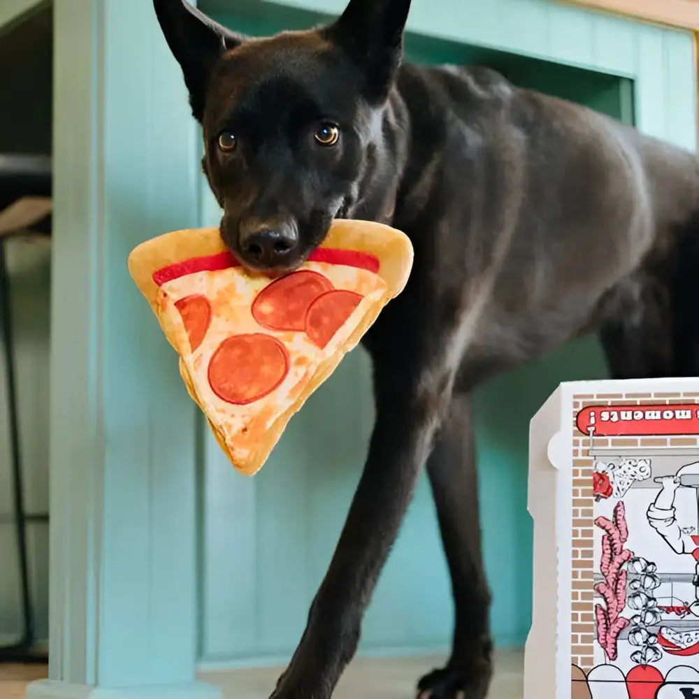  Hund spielt mit der Puppy-Roni Pizza – weiches, langlebiges Plüschspielzeug mit verstecktem Seil für extra Spielspaß.