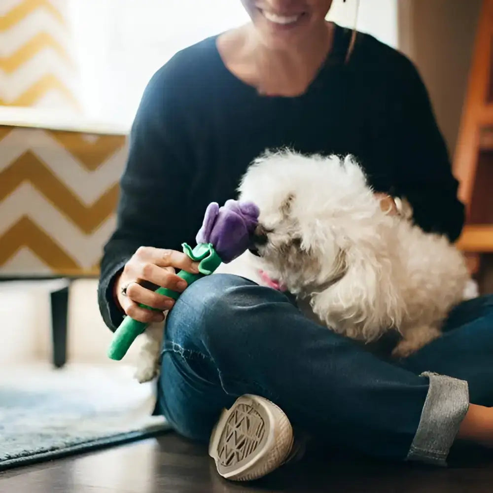 Hund spielt mit den "Rovers Rosen" von P.L.A.Y – langlebiges Plüschspielzeug mit versteckten Quietschern und knisternden Stielen.