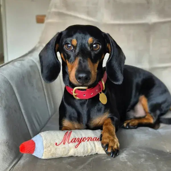 Hund spielt mit Plüschspielzeug in Form einer Saucenflasche – ideal zum Kuscheln und Spielen